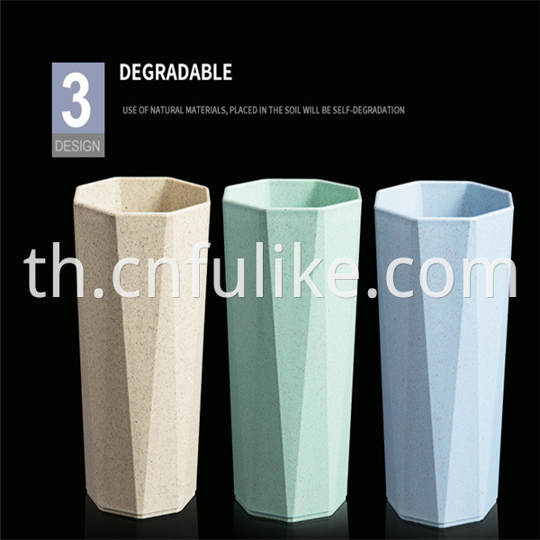Degradable Cup